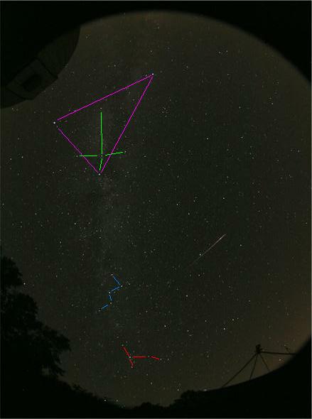 Image with ID's